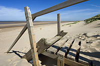 'Steps in the Sand' original